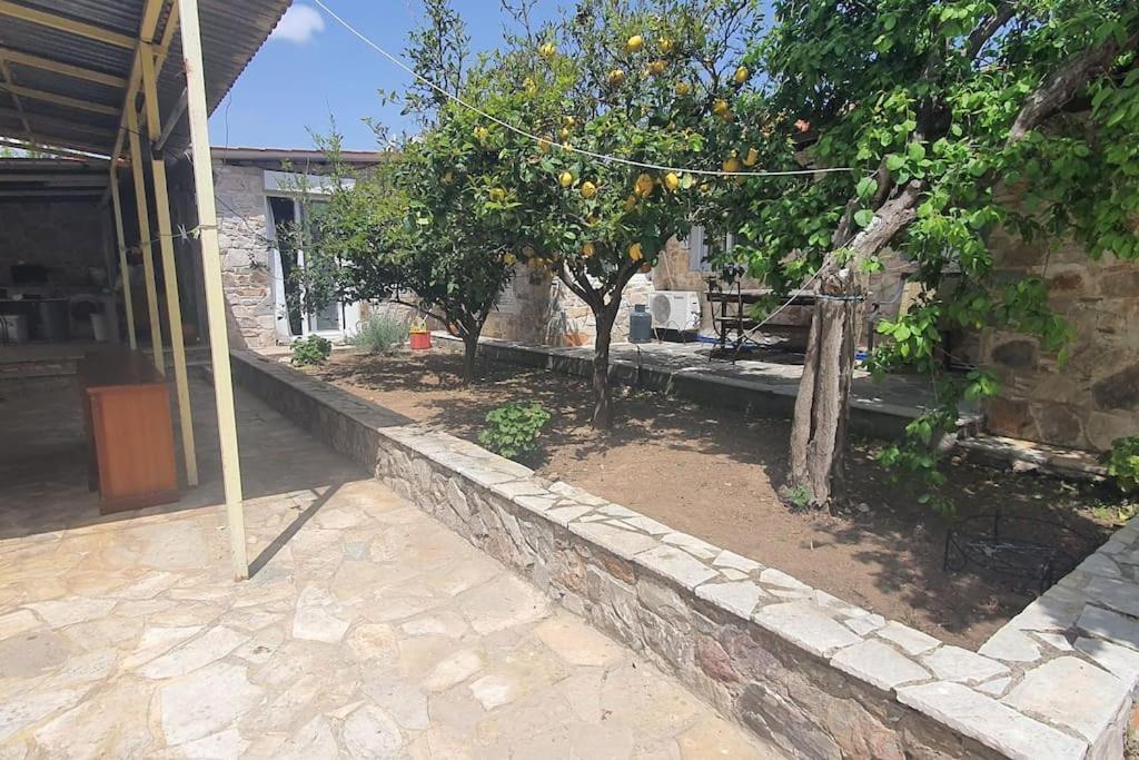 Confortable House In Nature Apartamento Fofola Exterior foto